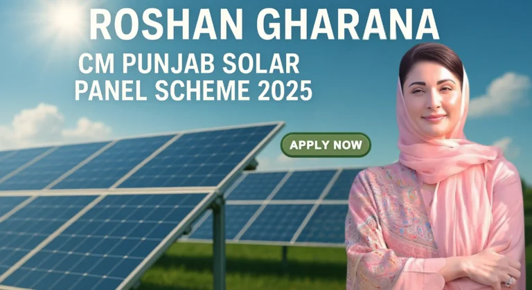 cm punjab solar panel scheme 2025 cm punjab solar panel scheme how to apply cm punjab solar panel scheme 2025