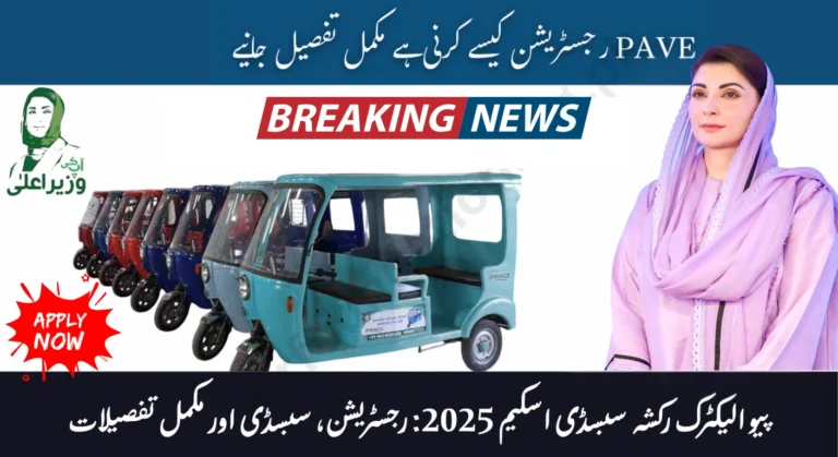PAVE Electric Rickshaw Subsidy Scheme Pakistan 2025