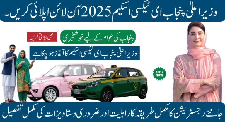 CM Punjab E Taxi Scheme required documents 2025