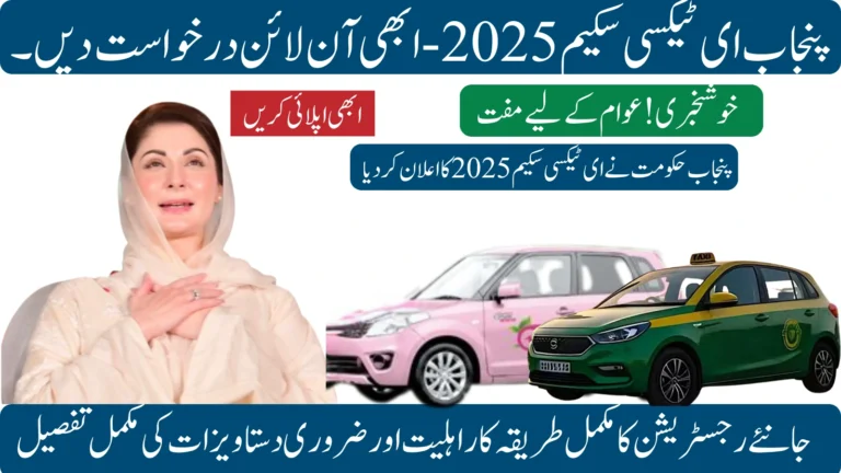Punjab E-Taxi Scheme 2025