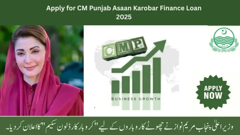 CM Punjab Asaan Karobar Finance Loan 2025 application guide