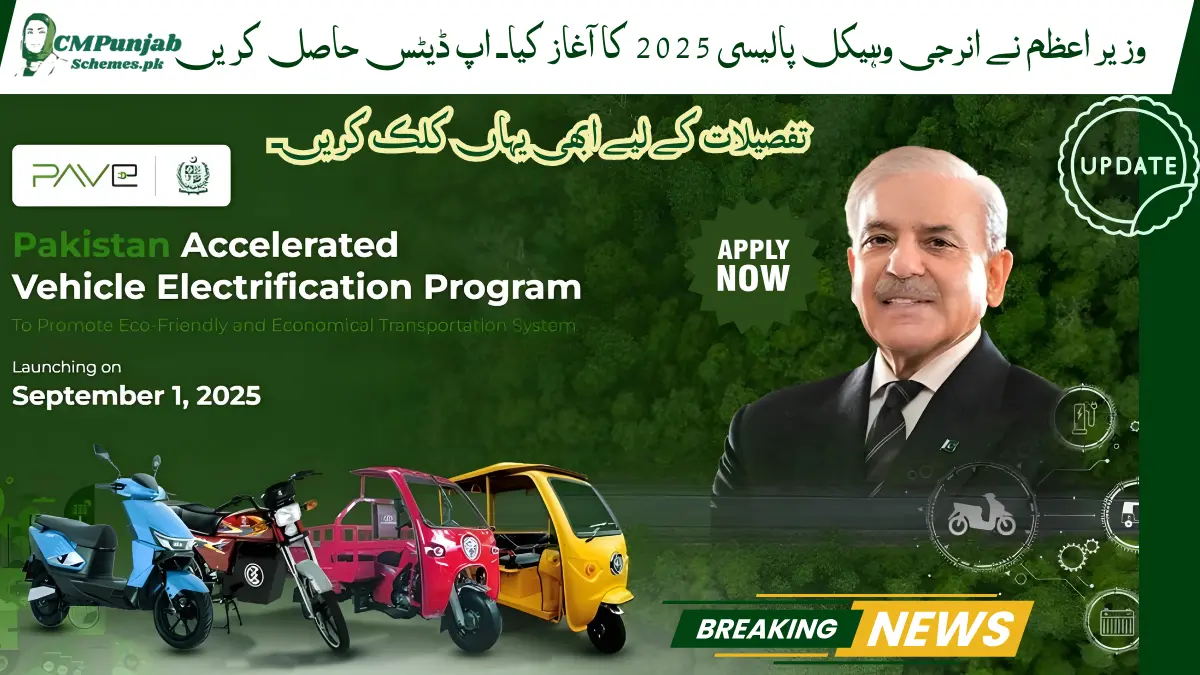 Energy Vehicle Policy 2025