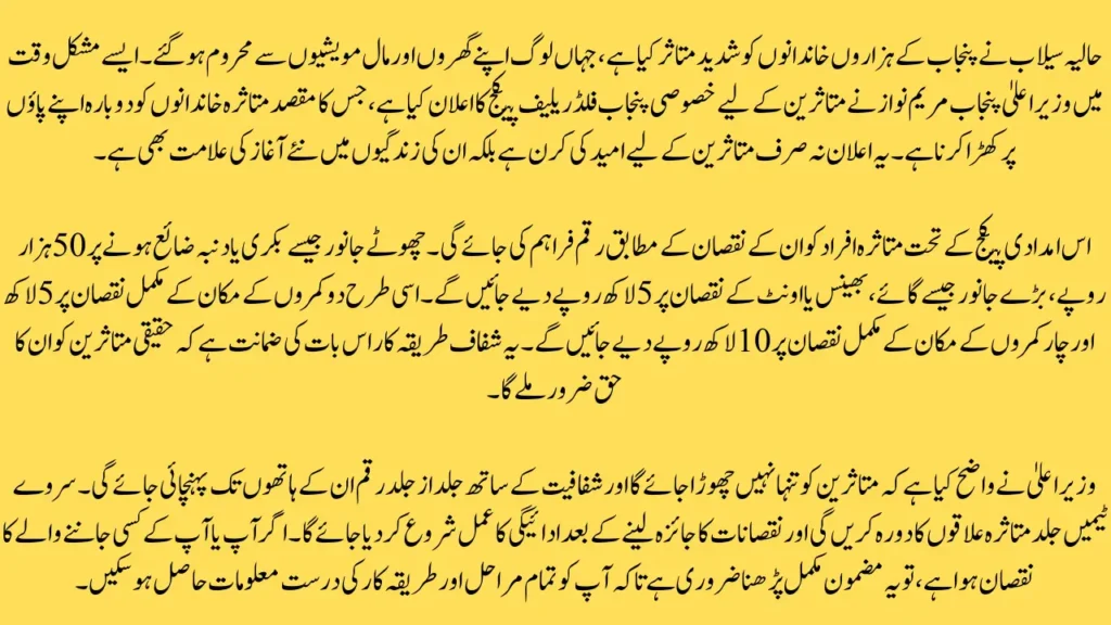 Punjab Government Announces Rs 1 Million Flood Relief for Flood-Affected Families 2 Flood-Relief-Package-2025