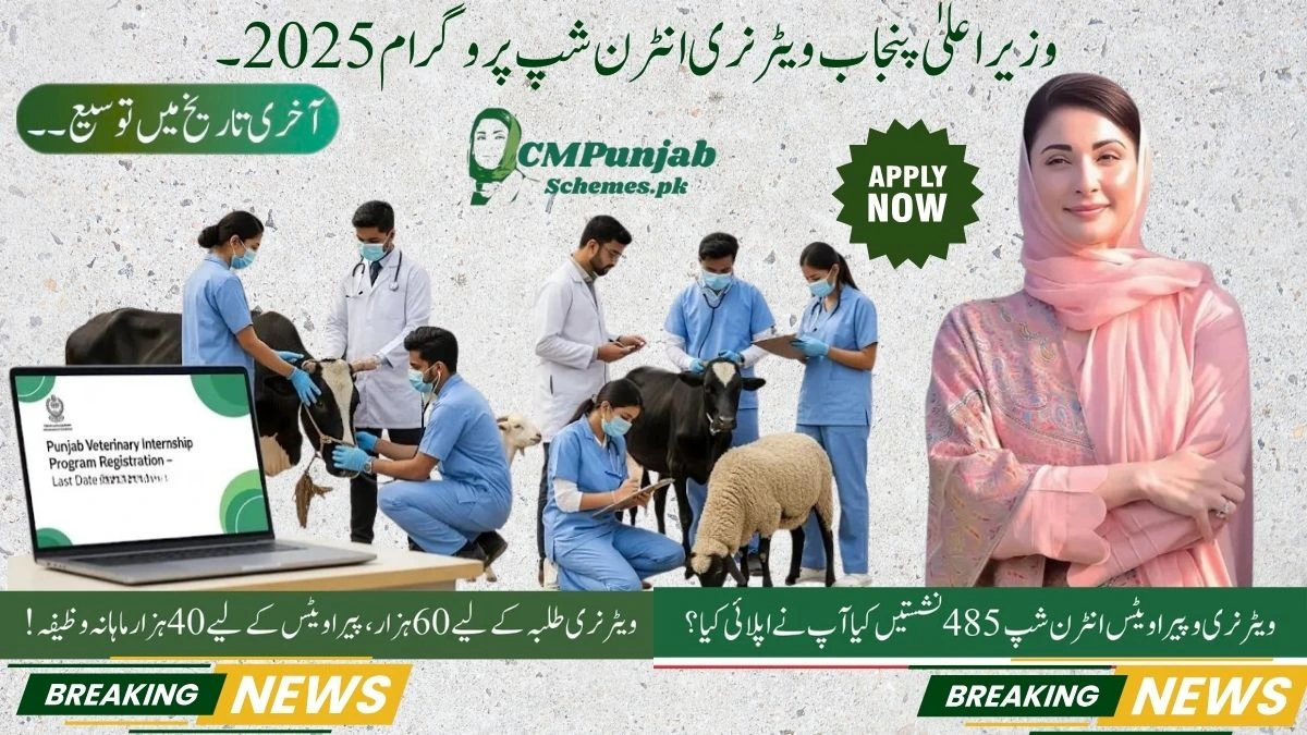 Punjab veterinary internship program 2025
