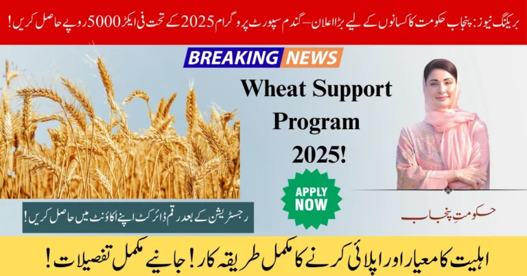 Wheat Support Program 2025