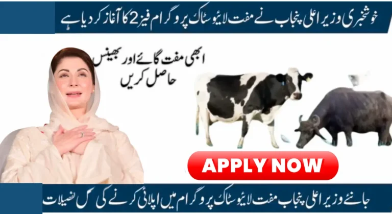 CM Punjab Livestock Program Phase 2 Online Registration