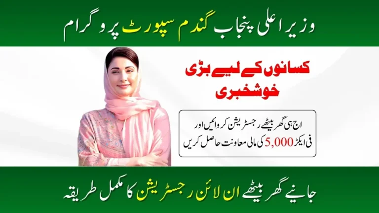 Punjab Wheat Support Program 2025
