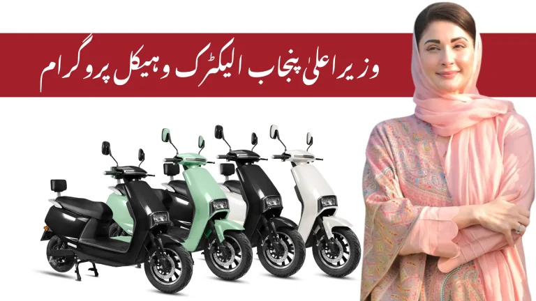 CM Punjab Electric Vehicles Programme