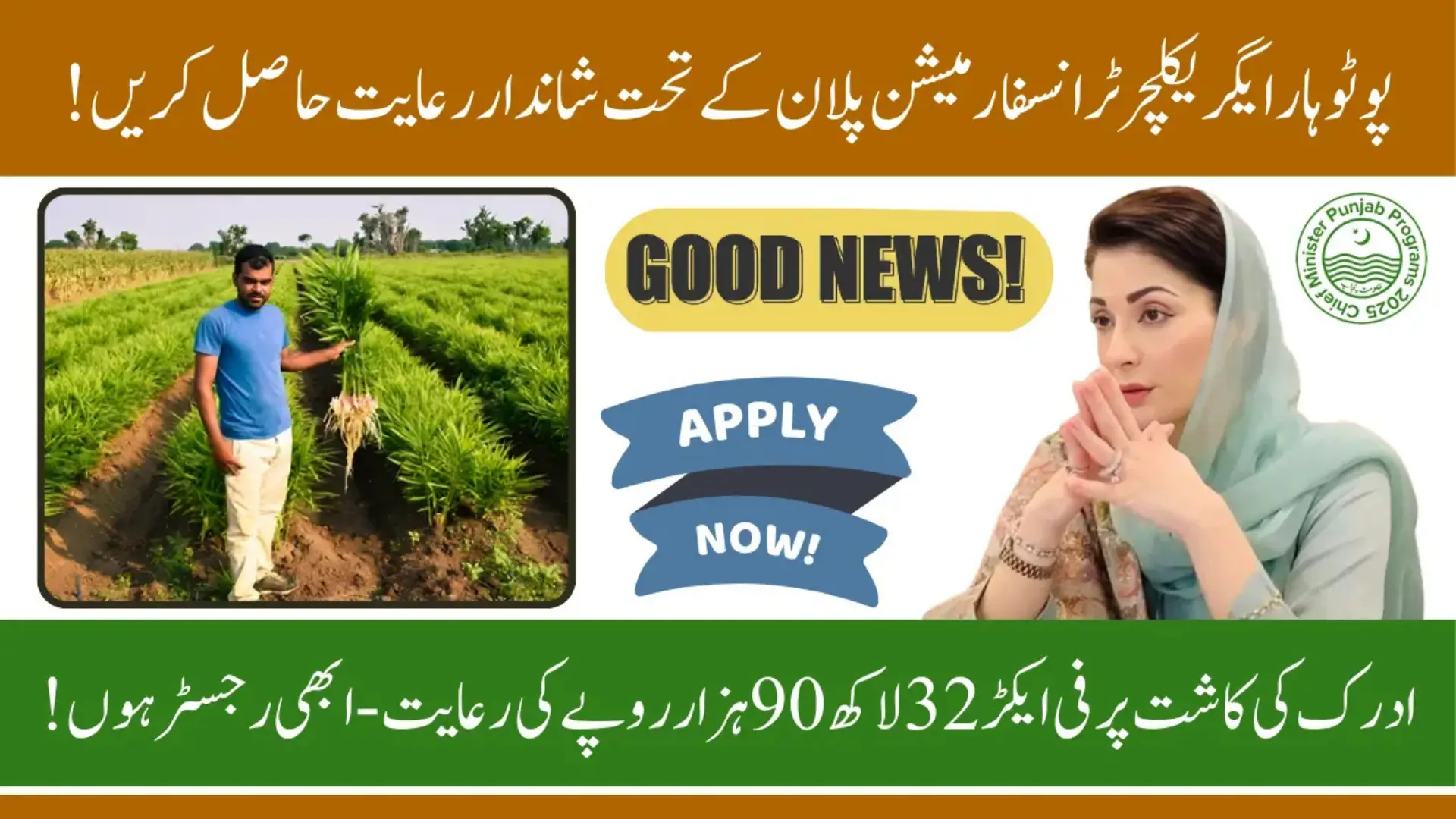 Potohar Agriculture Transformation Plan